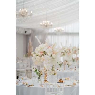 DreamLand Decor 