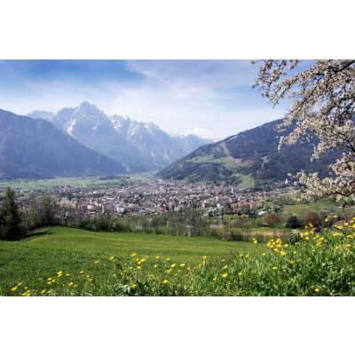 LIENZ